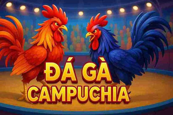 Đá Gà Campuchia BIA66 – Trực Tiếp Kịch Tính, Tỷ Lệ Chuẩn Xác
